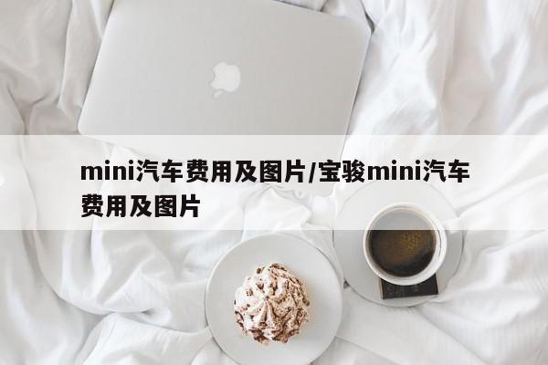 mini汽车费用及图片/宝骏mini汽车费用及图片