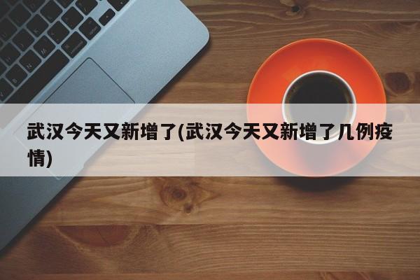 武汉今天又新增了(武汉今天又新增了几例疫情)