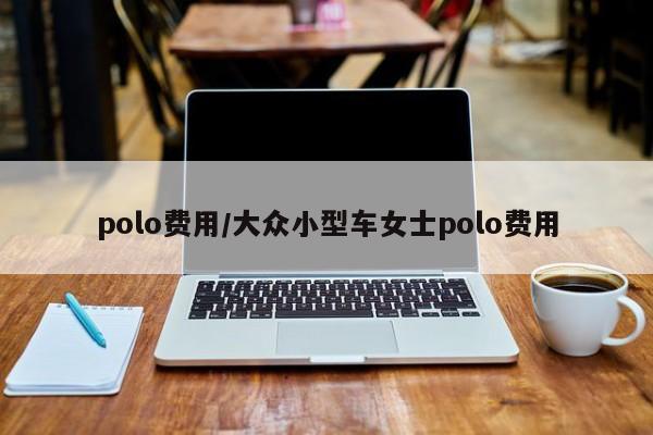 polo费用/大众小型车女士polo费用
