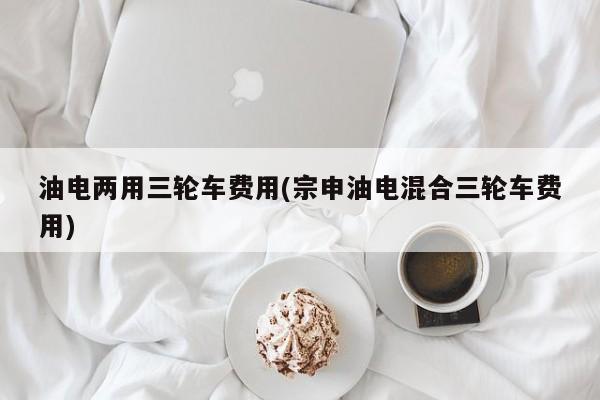 油电两用三轮车费用(宗申油电混合三轮车费用)