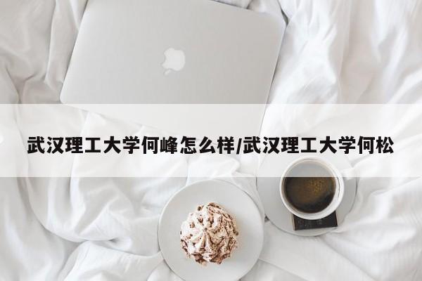 武汉理工大学何峰怎么样/武汉理工大学何松