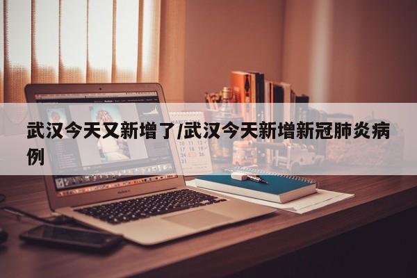 武汉今天又新增了/武汉今天新增新冠肺炎病例
