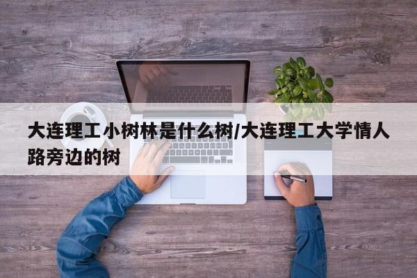 大连理工小树林是什么树/大连理工大学情人路旁边的树