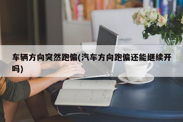 车辆方向突然跑偏(汽车方向跑偏还能继续开吗)