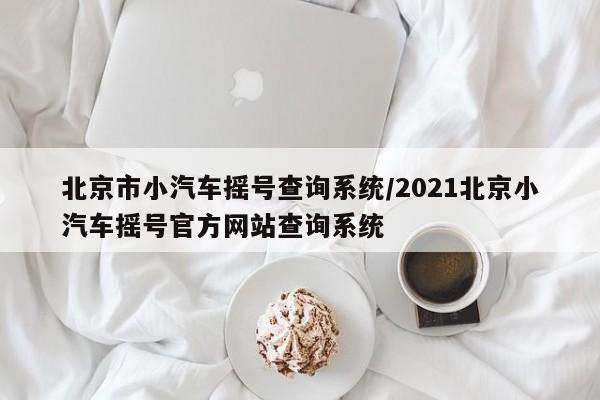 北京市小汽车摇号查询系统/2021北京小汽车摇号官方网站查询系统