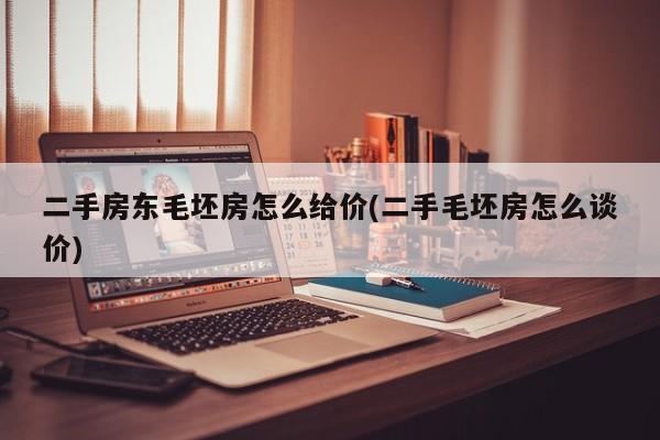 二手房东毛坯房怎么给价(二手毛坯房怎么谈价)