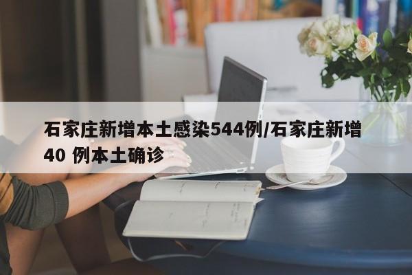 石家庄新增本土感染544例/石家庄新增 40 例本土确诊