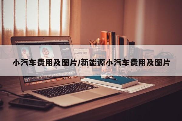 小汽车费用及图片/新能源小汽车费用及图片