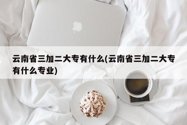 云南省三加二大专有什么(云南省三加二大专有什么专业)